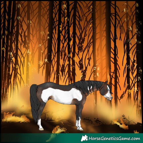Horse Color:Brown Frame 