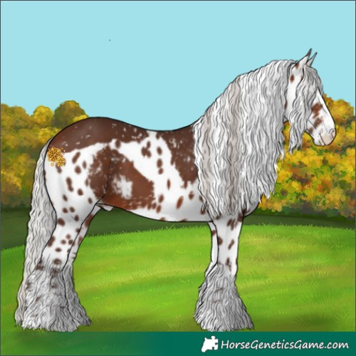 Horse Color:White Spotted Silver Brown Tobiano Skewed LP Spotted