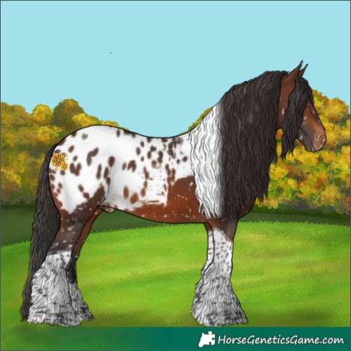 Horse Color:Brown Tobiano Skewed LP Spotted