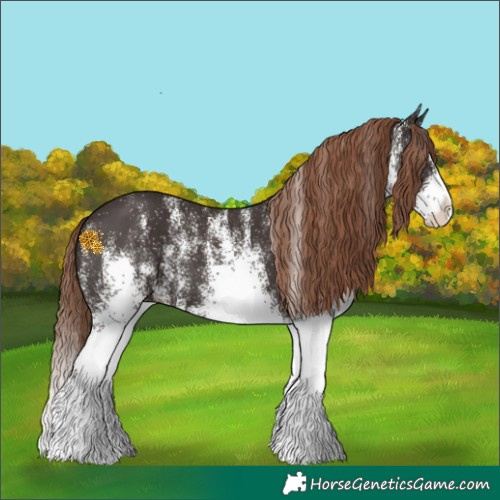 Horse Color:White Spotted Liver Chestnut Splash Rabicano 