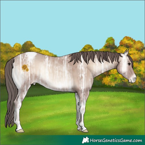 Horse Color:Classic Champagne Ice Onyx Merle Varnish Rabicano