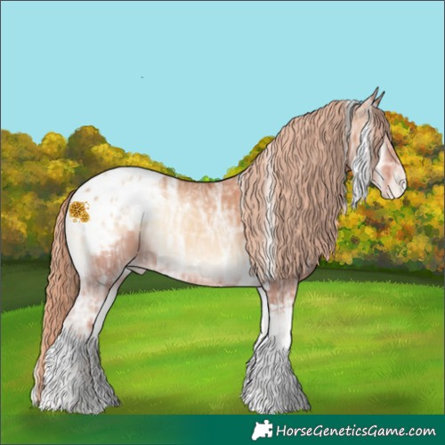 Horse Color:Gold Champagne Ice Onyx Tobiano Appaloosa Rabicano 