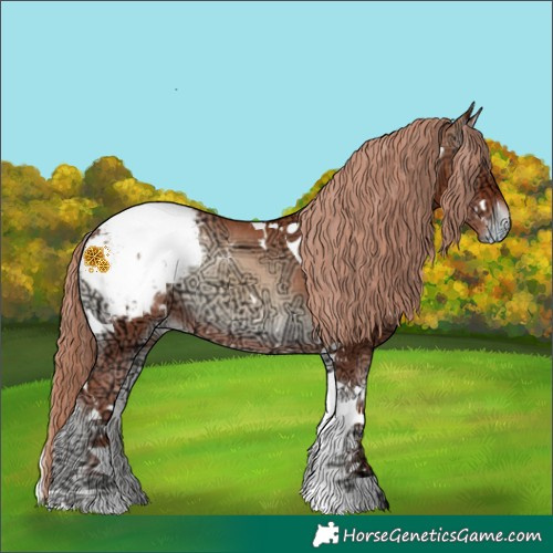Horse Color:White Spotted Gold Champagne Ice Onyx Tobiano Snowcap Rabicano