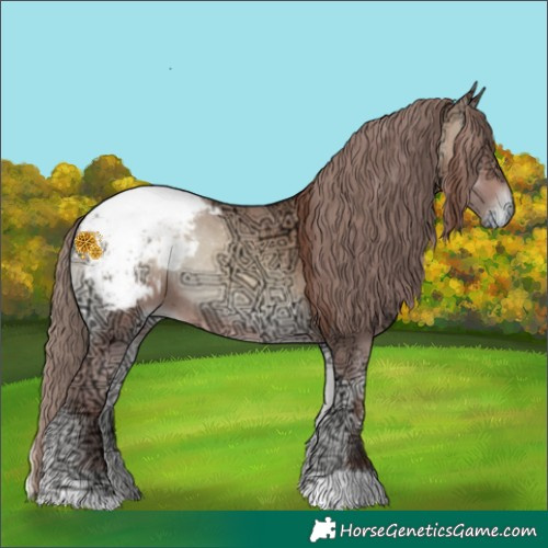 Horse Color:Amber Champagne Ice Onyx Merle Appaloosa Rabicano