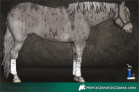 Horse Color:Platinum Liver Red Dun Tobiano Brindle
