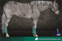 Horse Color:Platinum Liver Red Dun Tobiano Brindle