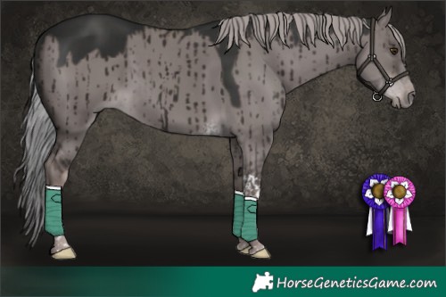 Horse Color:Platinum Liver Red Dun Tobiano Brindle 