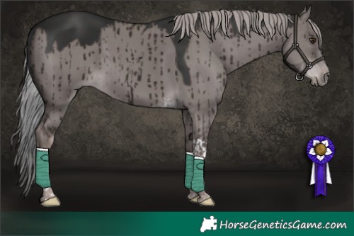Horse Color:Platinum Liver Red Dun Tobiano Brindle 