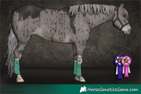 Horse Color:Platinum Liver Red Dun Tobiano Brindle