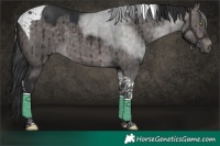 Horse Color:Platinum Brown Dun Tobiano Brindle 