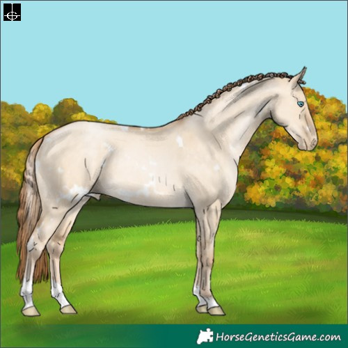 Horse Color:White Spotted Buckskin Pearl Dun Tobiano