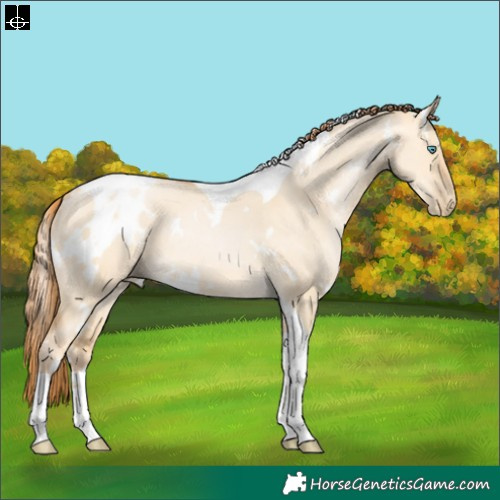 Horse Color:White Spotted Buckskin Pearl Dun Tobiano