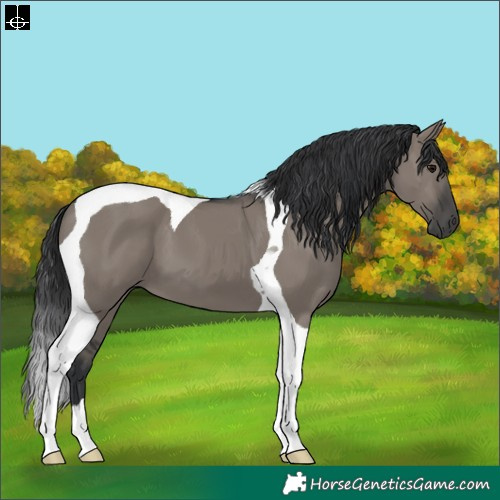 Horse Color:Grullo Tobiano 