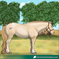 Horse Color:Smoky Black Pearl