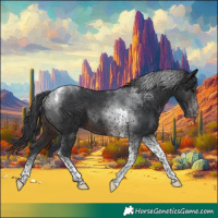 Horse Color:Brown Tobiano 