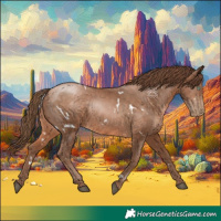 Horse Color:White Spotted Brown Pearl