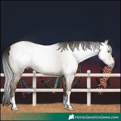 Horse Color:Gray Classic Champagne Dun Sabino Tobiano 