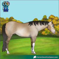 Horse Color:Gray Sable Cream Champagne Dun Sabino Tobiano