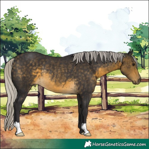 Horse Color:Silver Buckskin Rabicano 