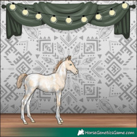 Horse Color:White Spotted Smoky Grullo Pearl Rabicano