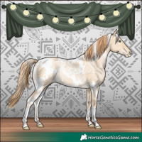 Horse Color:White Spotted Smoky Grullo Pearl Rabicano