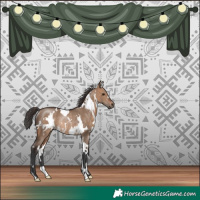 Horse Color:White Spotted Brown Dun Rabicano 