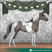 Horse Color:Grullo Tobiano Rabicano 