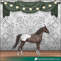 Horse Color:Liver Chestnut Blanket 