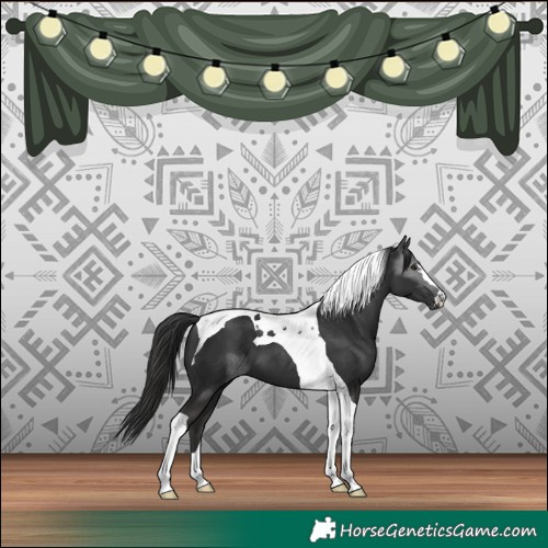 Horse Color:Liver Chestnut Tobiano 