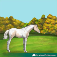 Horse Color:Silver Amber Champagne Dun Tobiano
