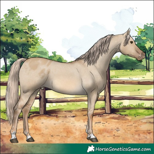 Horse Color:Chocolate Palomino Dun Varnish 