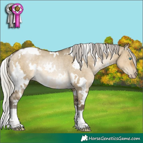 Horse Color:Gray White Spotted Silver Buckskin Pearl Dun Rabicano