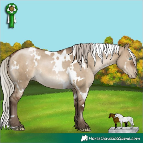 Horse Color:Gray White Spotted Silver Brown Pearl Dun 