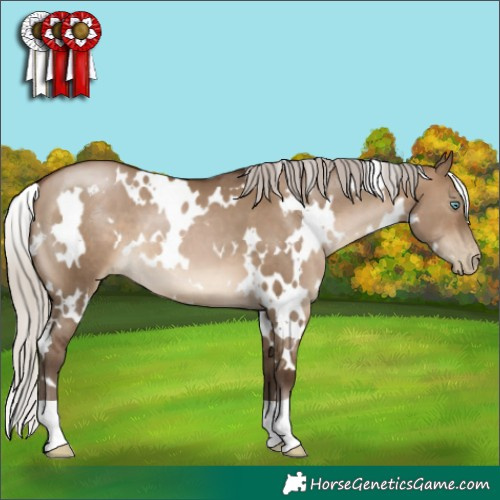 Horse Color:Gray White Spotted Silver Brown Pearl Dun 
