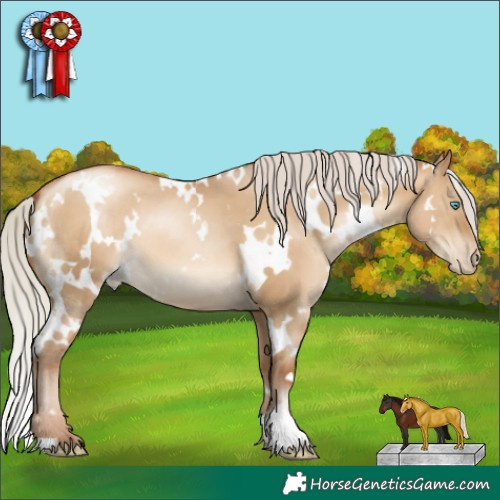 Horse Color:Gray White Spotted Silver Sable Champagne Pearl Dun Appaloosa 