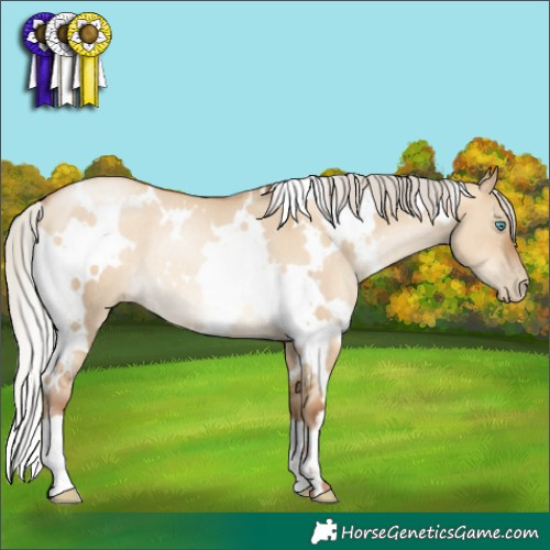 Horse Color:Gray White Spotted Silver Sable Champagne Pearl Dun Rabicano 