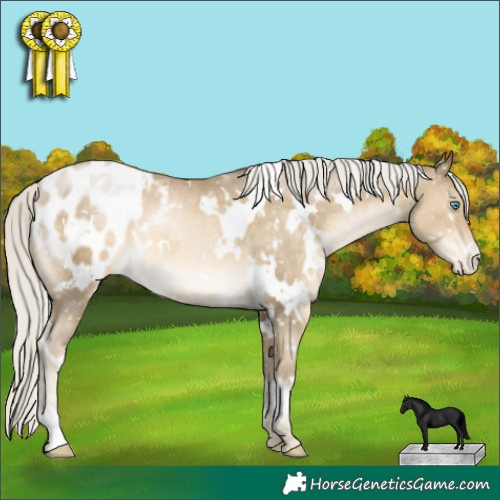 Horse Color:White Spotted Silver Smoky Black Pearl Appaloosa 
