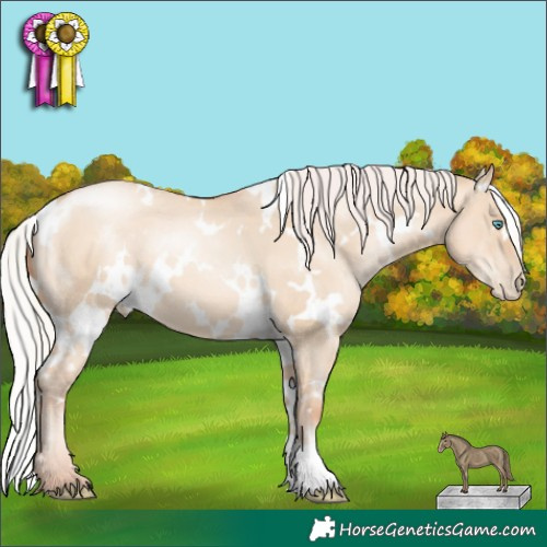 Horse Color:White Spotted Silver Sable Champagne Pearl Dun 