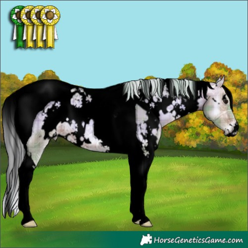 Horse Color:Void Watercolor Plaid White Spotted Silver Brown Ice Onyx Tobiano