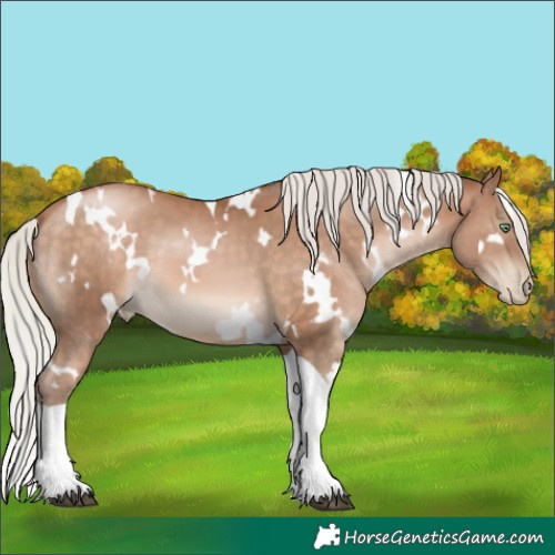 Horse Color:White Spotted Silver Brown Pearl Tobiano 