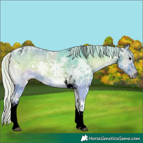 Horse Color:Void Watercolor Silver Blue Onyx Ice Tobiano