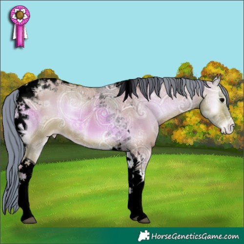 Horse Color:Void Watercolor Bay Ice Onyx Tobiano Appaloosa 