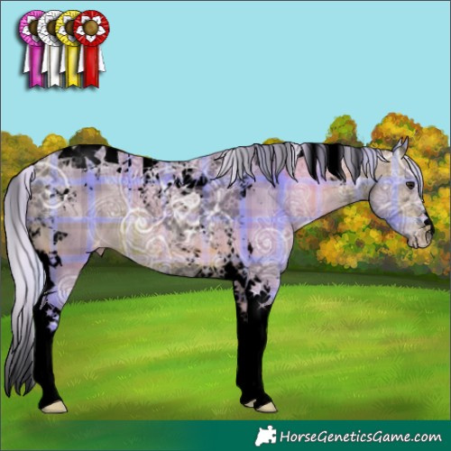 Horse Color:Void Watercolor Plaid Silver Bay Ice Tobiano Appaloosa