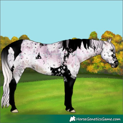 Horse Color:Void Watercolor Plaid  Silver Brown Ice Onyx Sabino Tobiano Appaloosa 