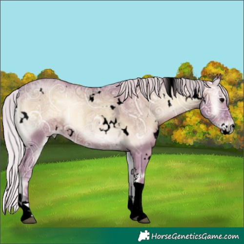 Horse Color:Void Watercolor White Spotted Silver Blue Onyx Ice Tobiano 