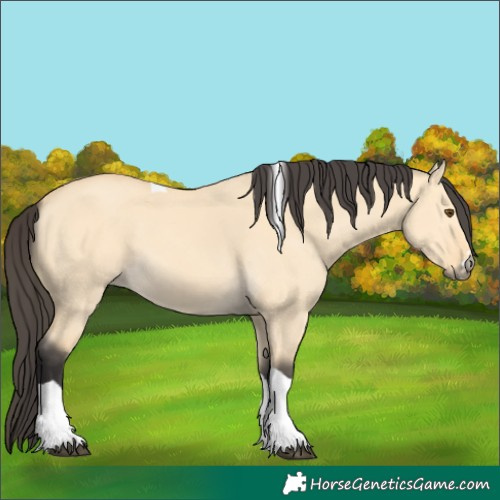 Horse Color:Buckskin Dun Tobiano 