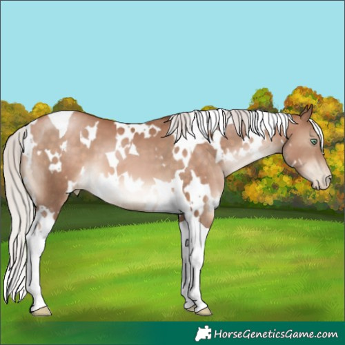 Horse Color:White Spotted Silver Brown Pearl Tobiano 