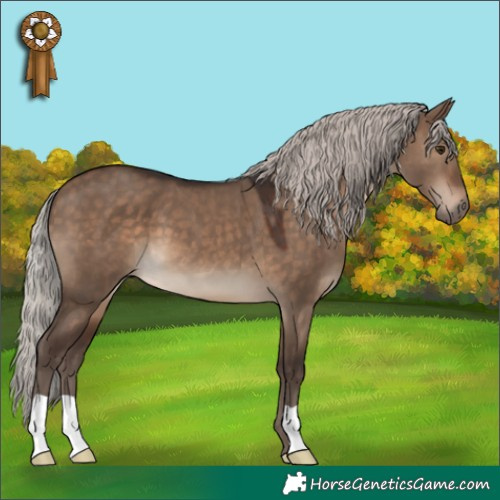 Horse Color:Silver Brown Dun 