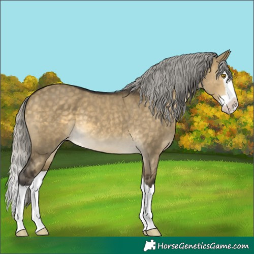 Horse Color:Silver Buckskin Dun Splash 