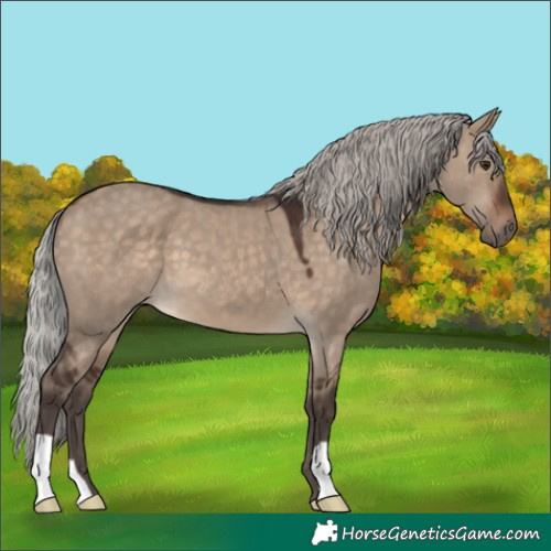 Horse Color:Silver Brown Dun 